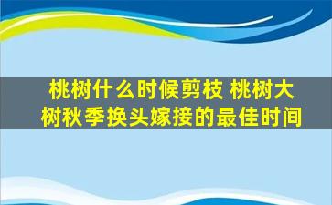 桃树什么时候剪枝 桃树大树秋季换头嫁接的最佳时间